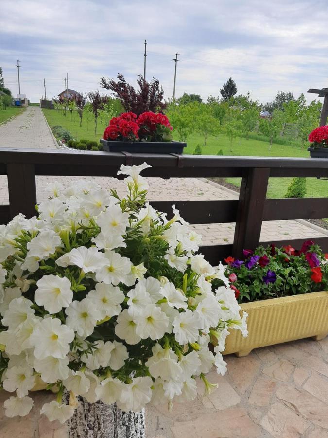 Dor De Casa Hotel Doljeşti Kültér fotó
