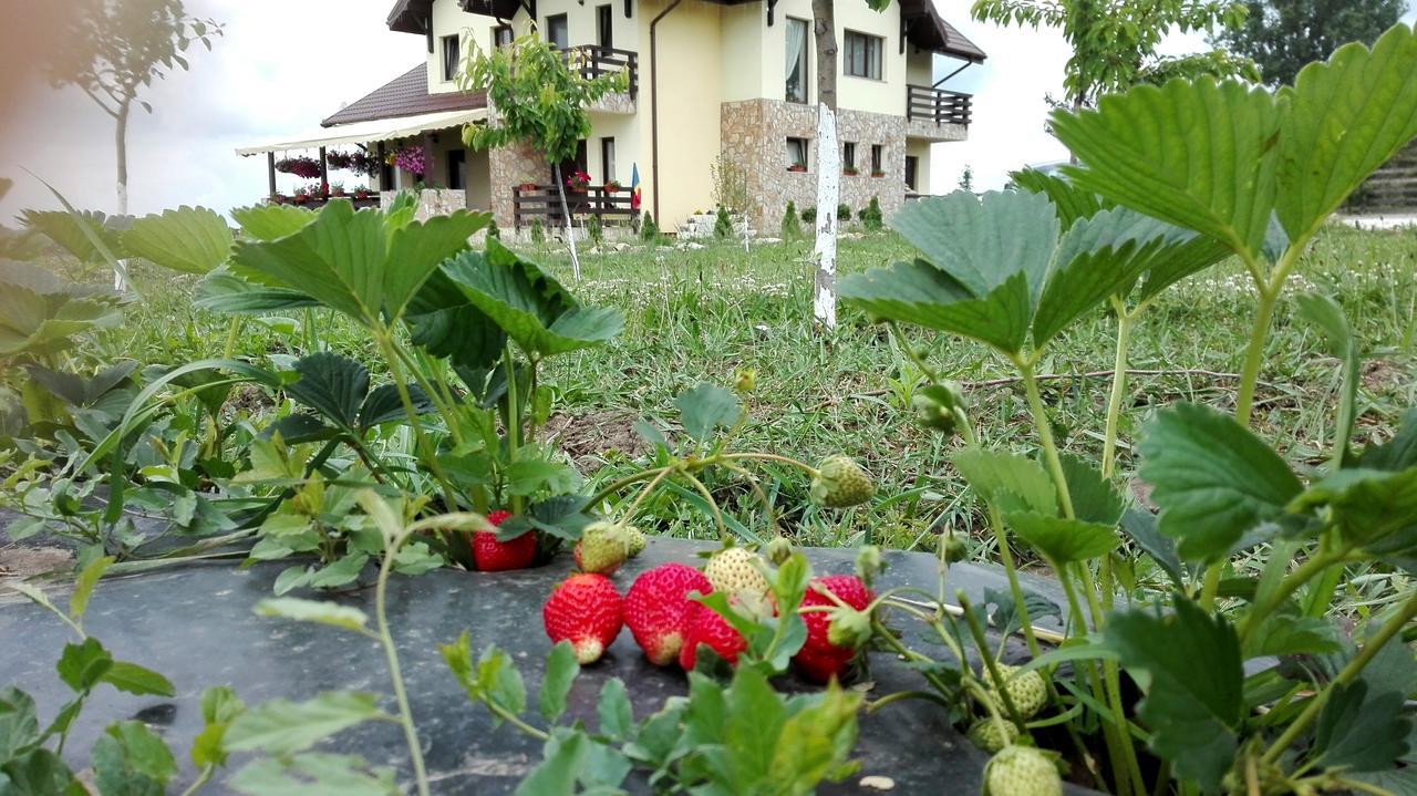 Dor De Casa Hotel Doljeşti Kültér fotó